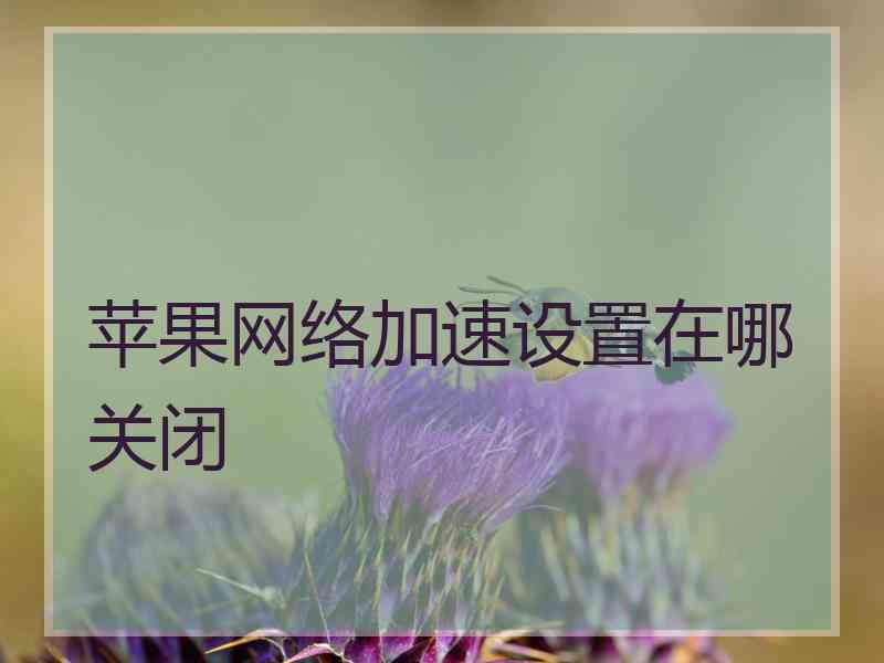 苹果网络加速设置在哪关闭