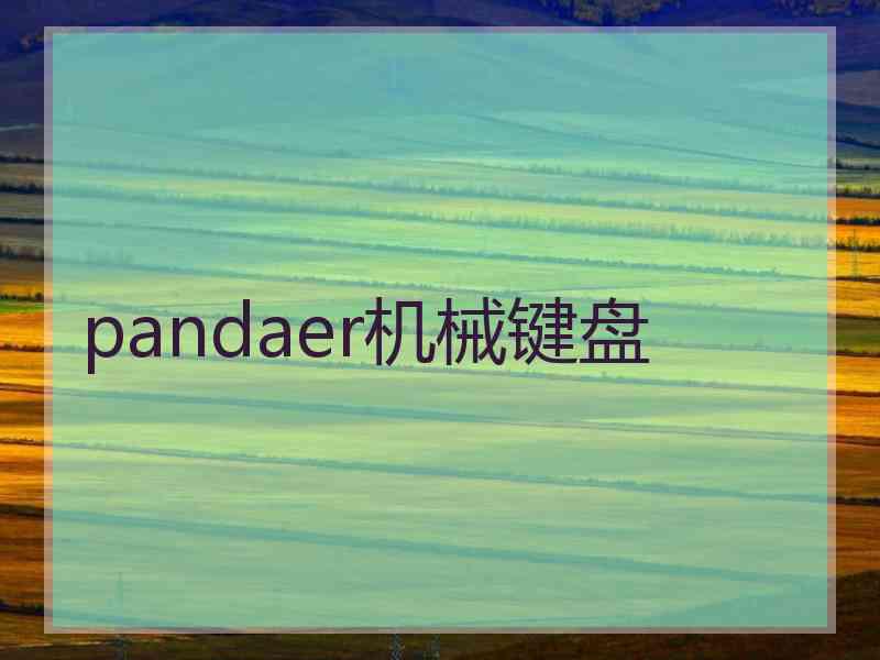 pandaer机械键盘