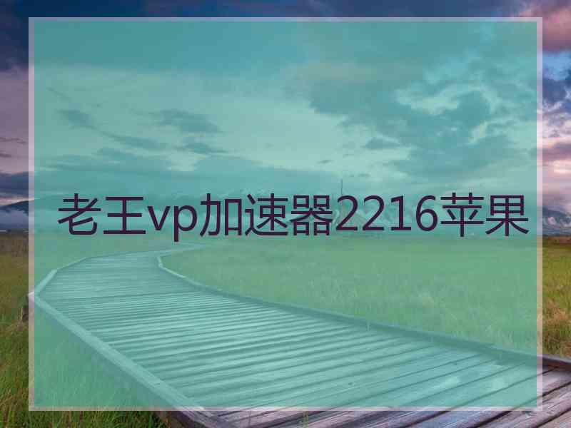 老王vp加速器2216苹果