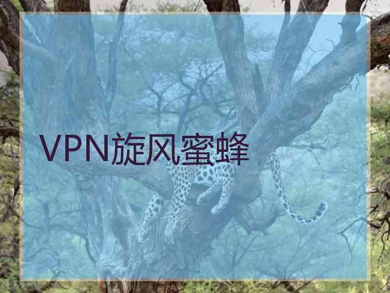 VPN旋风蜜蜂