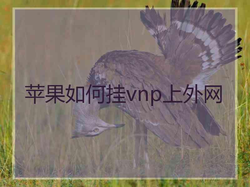 苹果如何挂vnp上外网