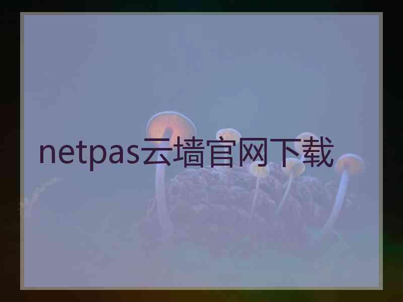 netpas云墙官网下载