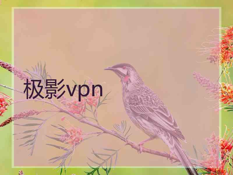 极影vpn