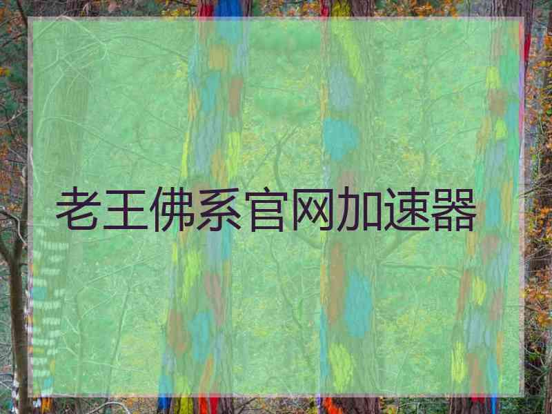 老王佛系官网加速器