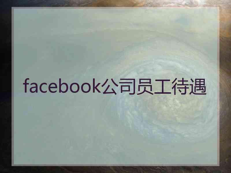 facebook公司员工待遇