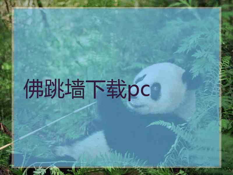 佛跳墙下载pc