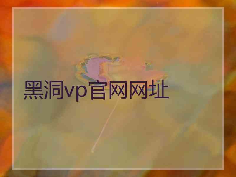 黑洞vp官网网址