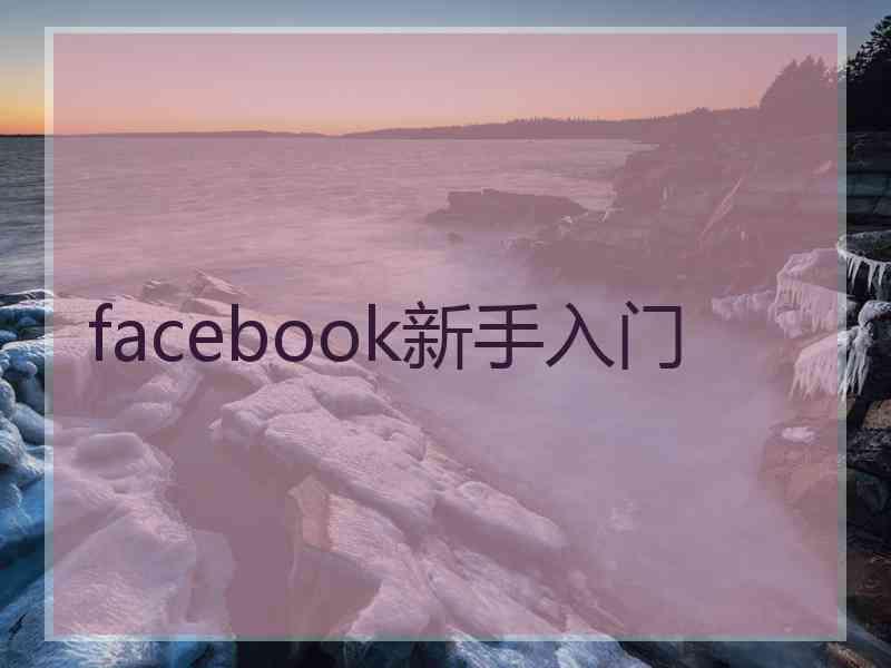 facebook新手入门