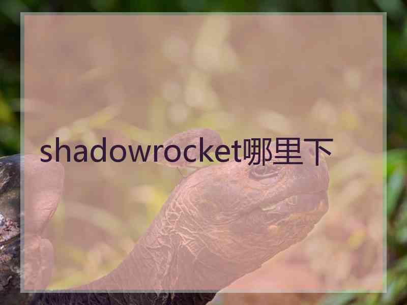 shadowrocket哪里下