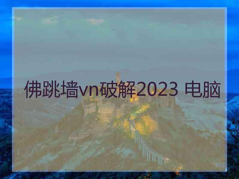 佛跳墙vn破解2023 电脑