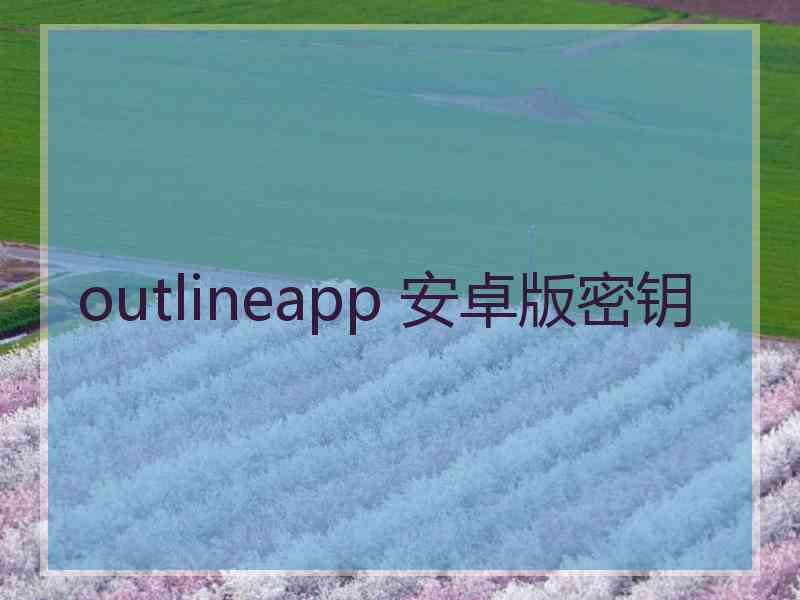 outlineapp 安卓版密钥