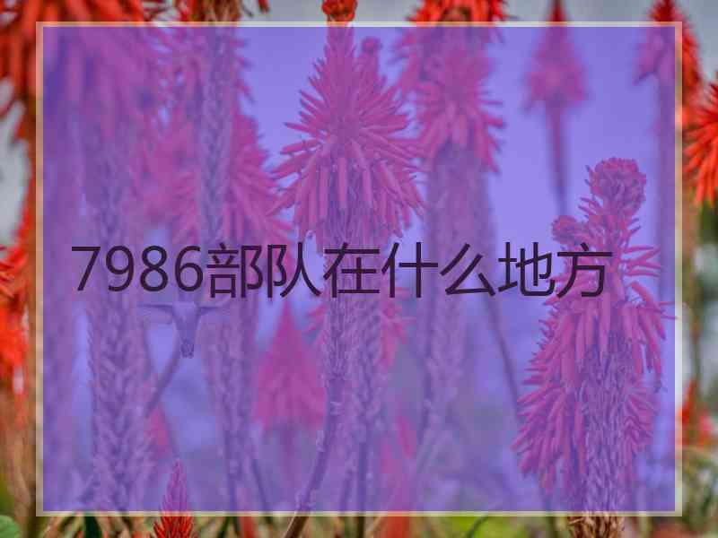 7986部队在什么地方