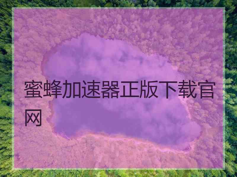 蜜蜂加速器正版下载官网