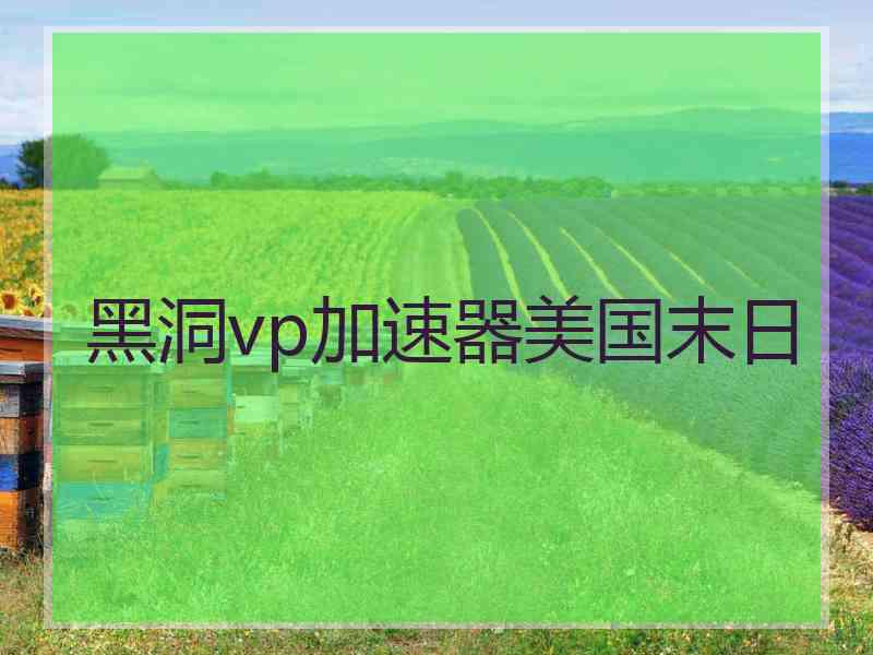 黑洞vp加速器美国末日