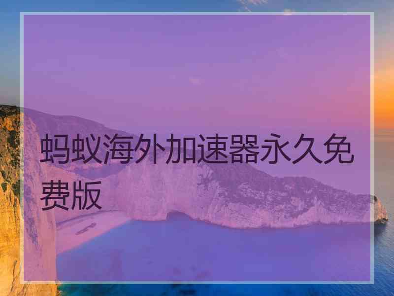 蚂蚁海外加速器永久免费版