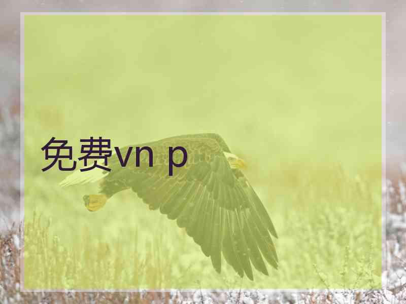 免费vn p