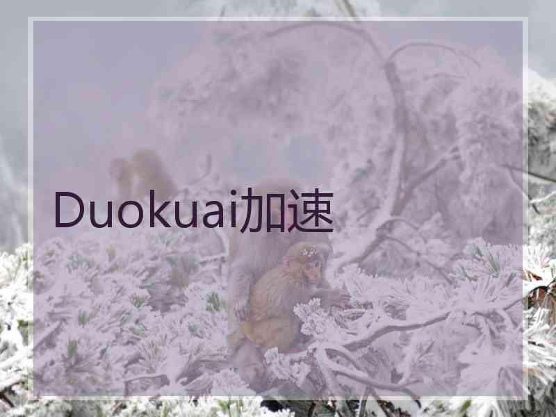 Duokuai加速