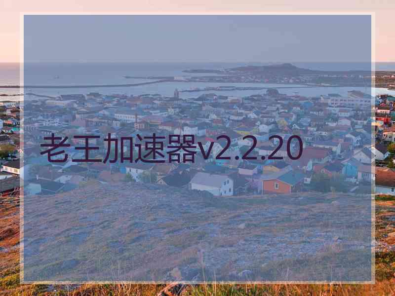 老王加速器v2.2.20