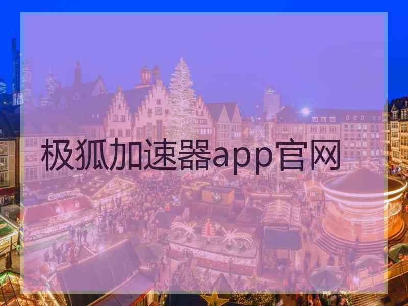 极狐加速器app官网