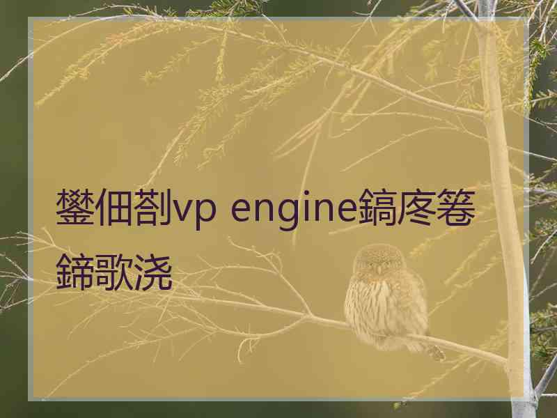 鐢佃剳vp engine鎬庝箞鍗歌浇