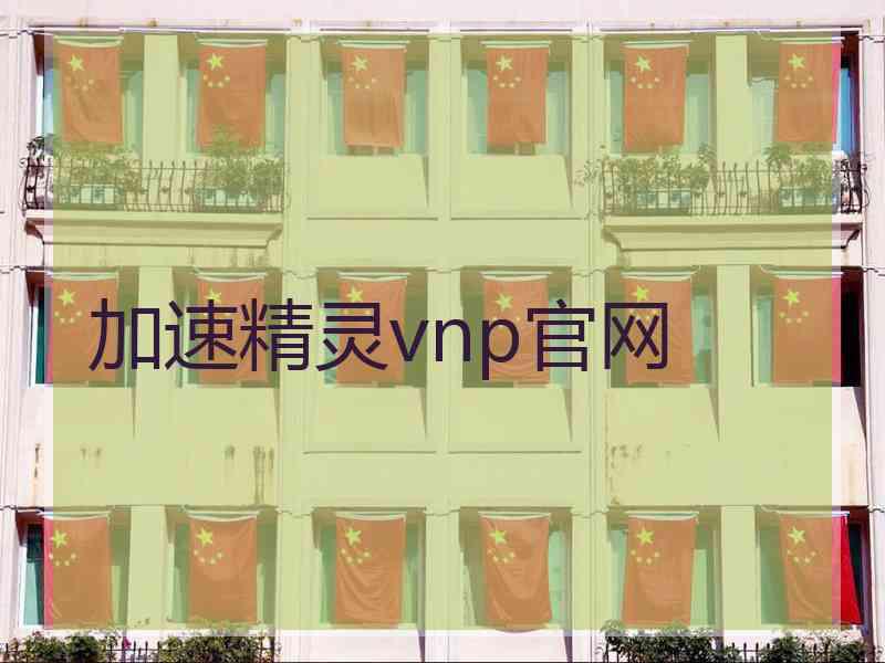 加速精灵vnp官网