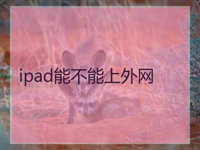 ipad能不能上外网