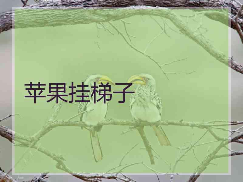 苹果挂梯子