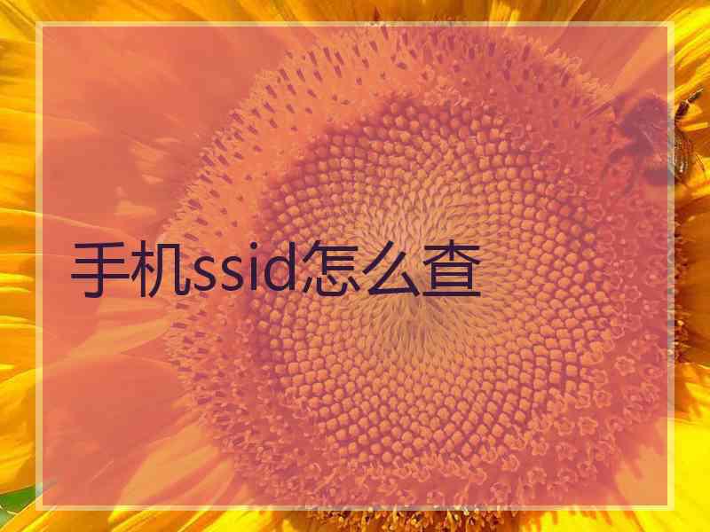 手机ssid怎么查