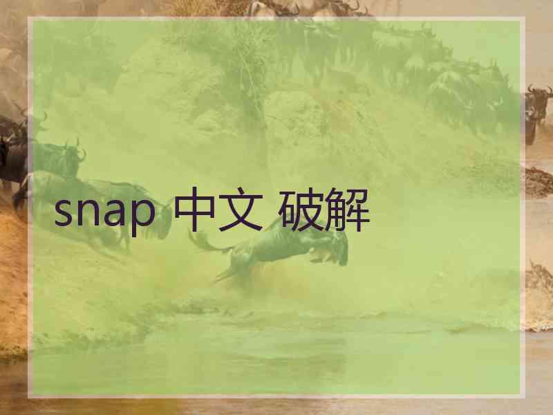 snap 中文 破解