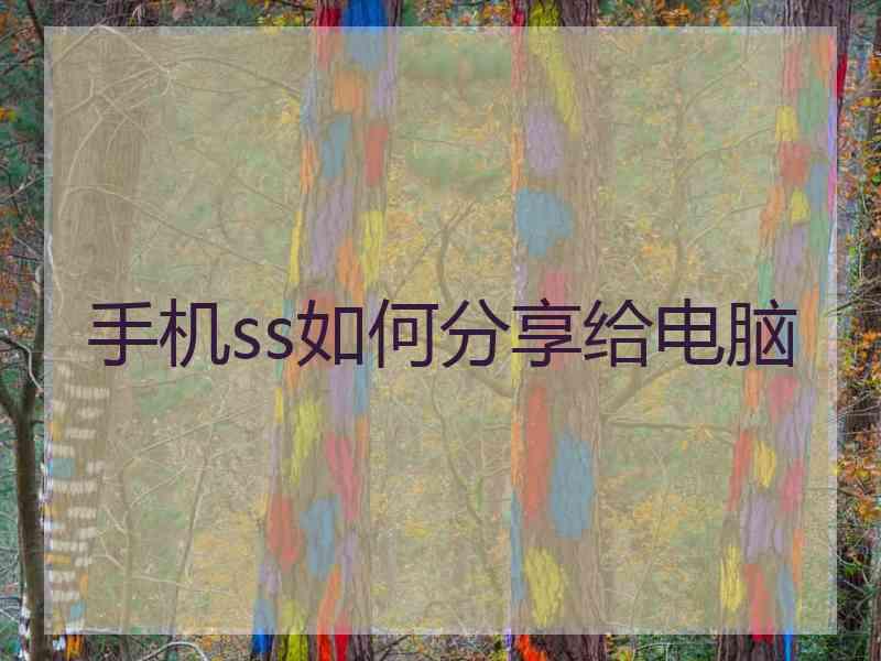 手机ss如何分享给电脑