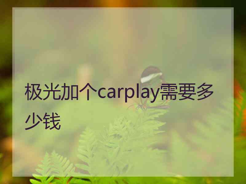 极光加个carplay需要多少钱