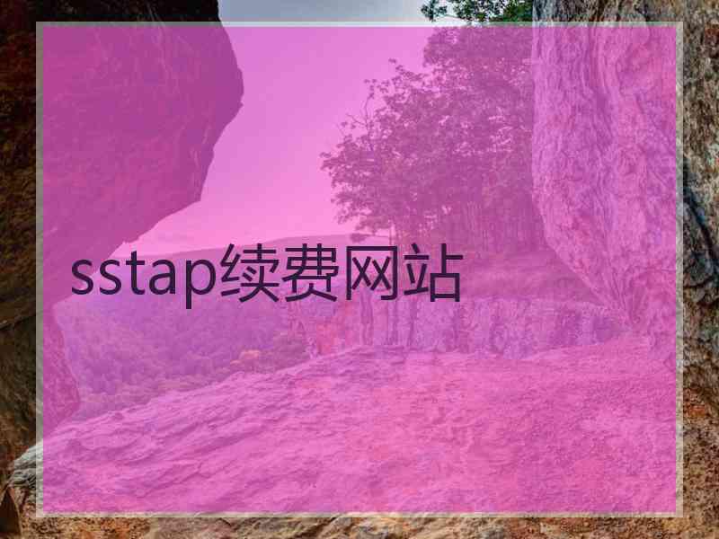 sstap续费网站