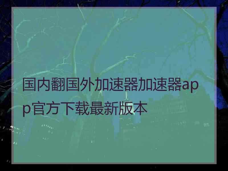 国内翻国外加速器加速器app官方下载最新版本