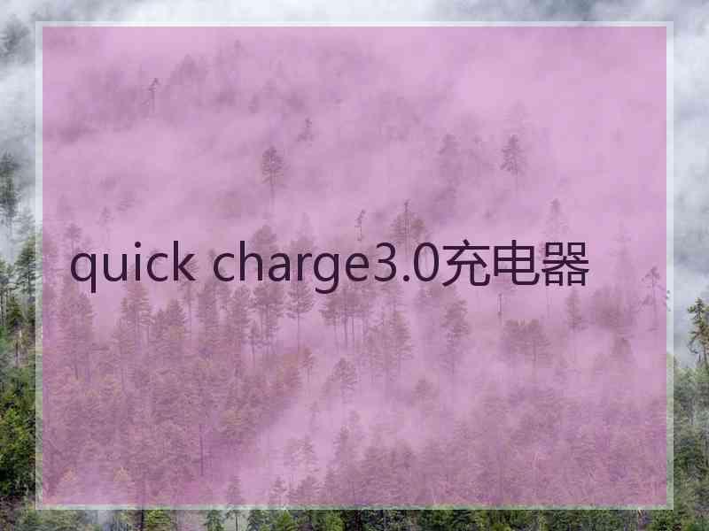 quick charge3.0充电器