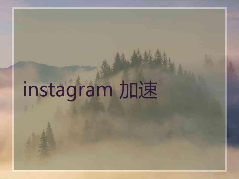 instagram 加速