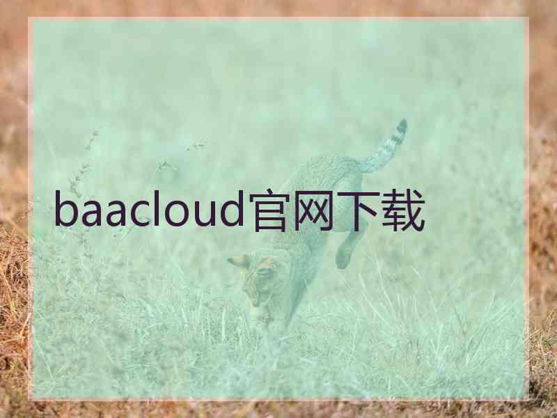 baacloud官网下载