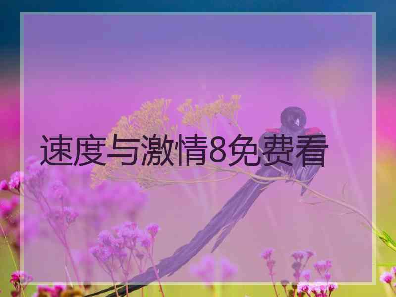 速度与激情8免费看