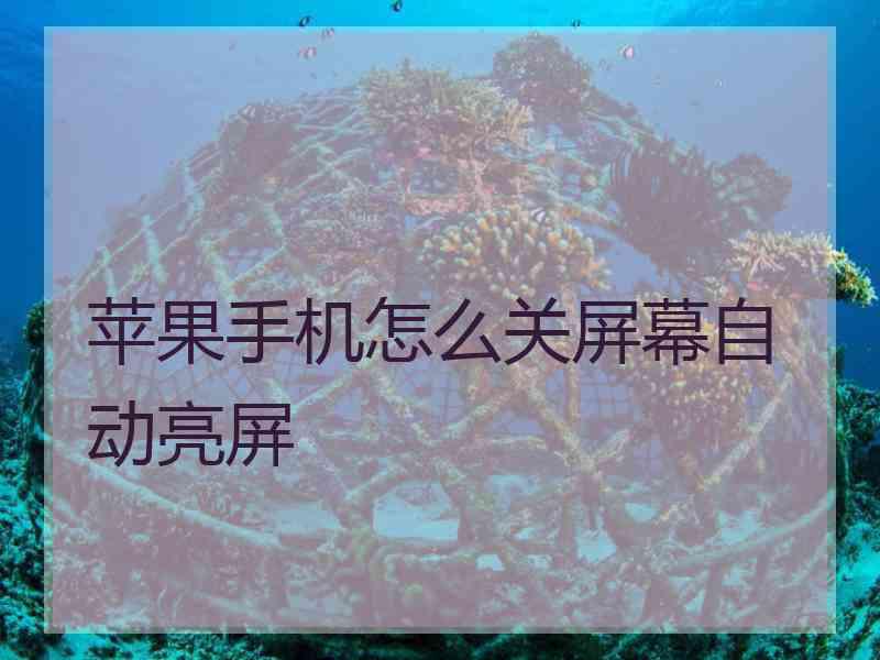 苹果手机怎么关屏幕自动亮屏