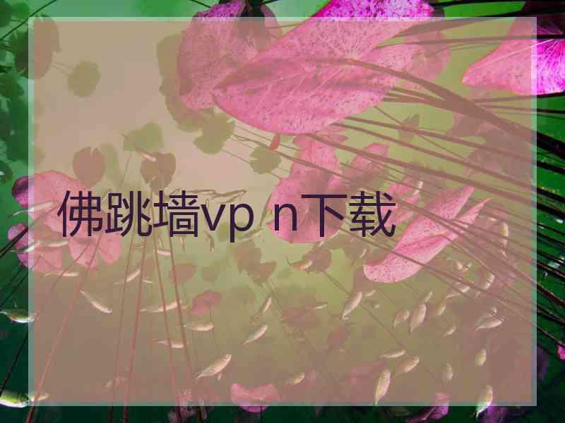 佛跳墙vp n下载