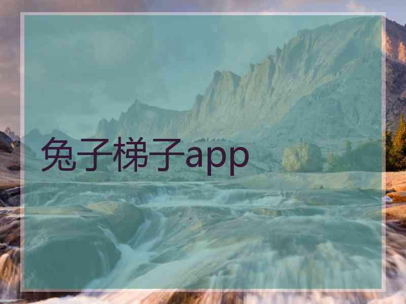 兔子梯子app