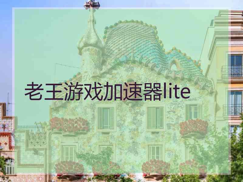 老王游戏加速器lite