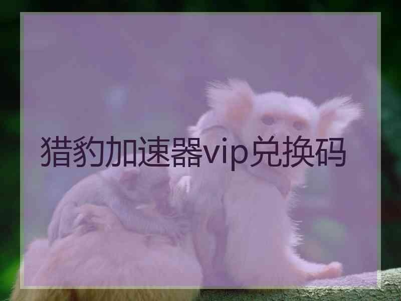 猎豹加速器vip兑换码