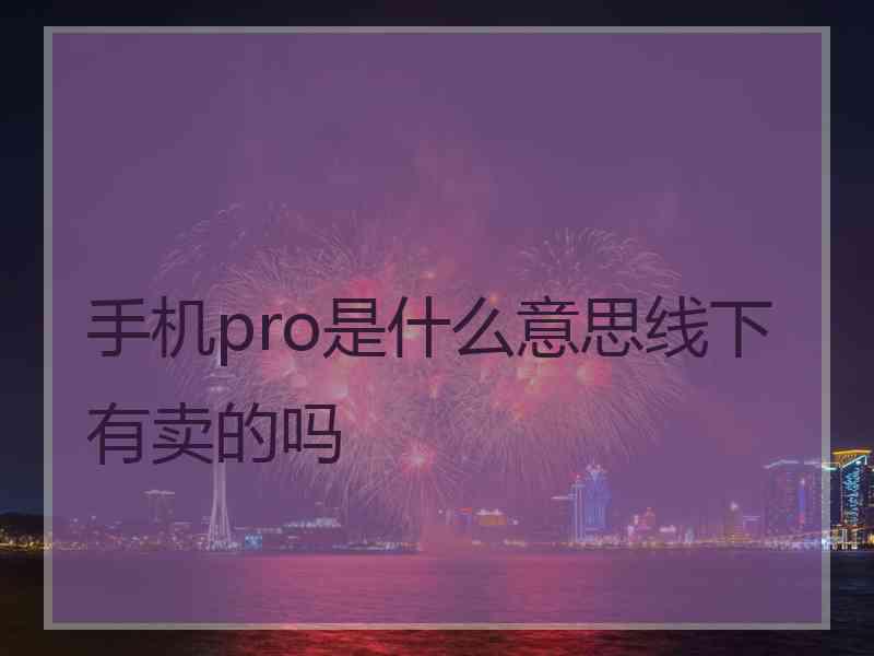 手机pro是什么意思线下有卖的吗