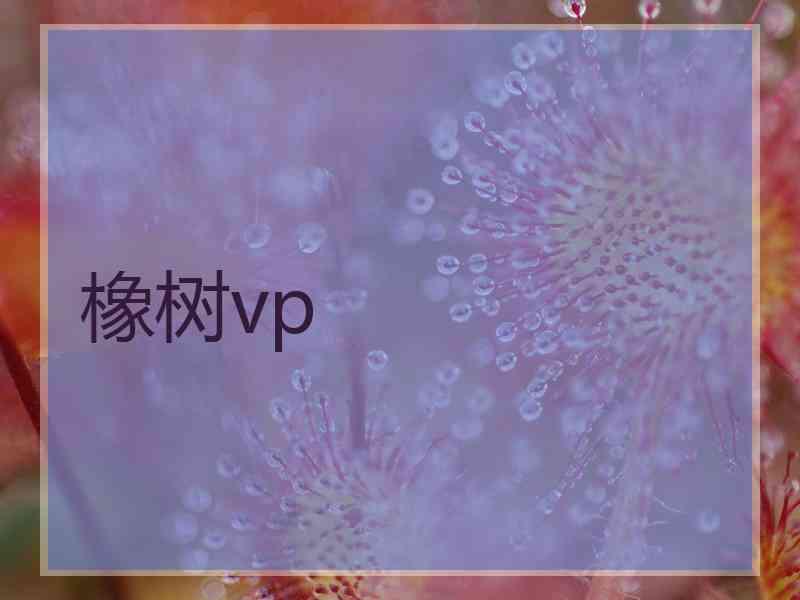 橡树vp