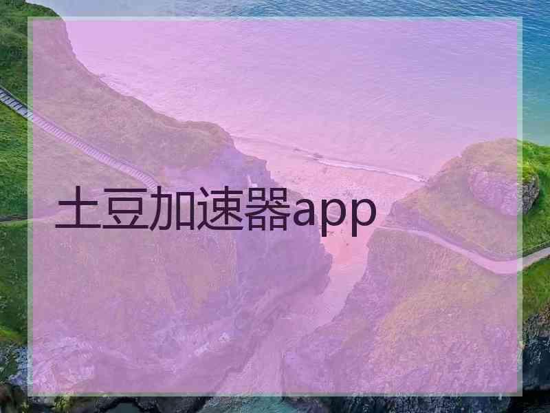 土豆加速器app