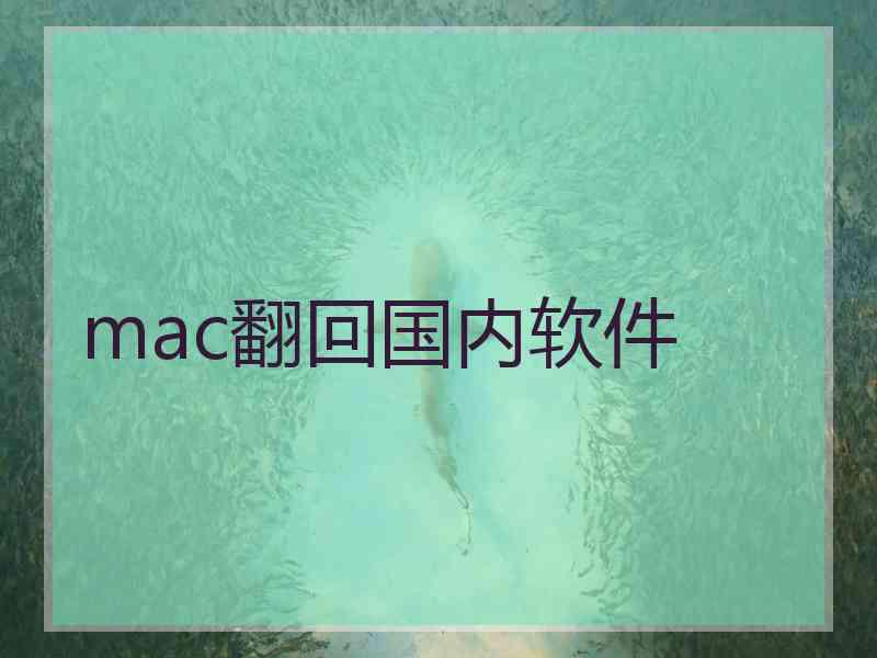 mac翻回国内软件