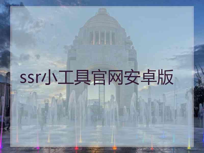 ssr小工具官网安卓版