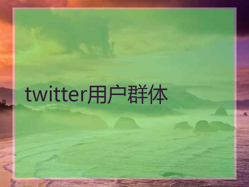 twitter用户群体