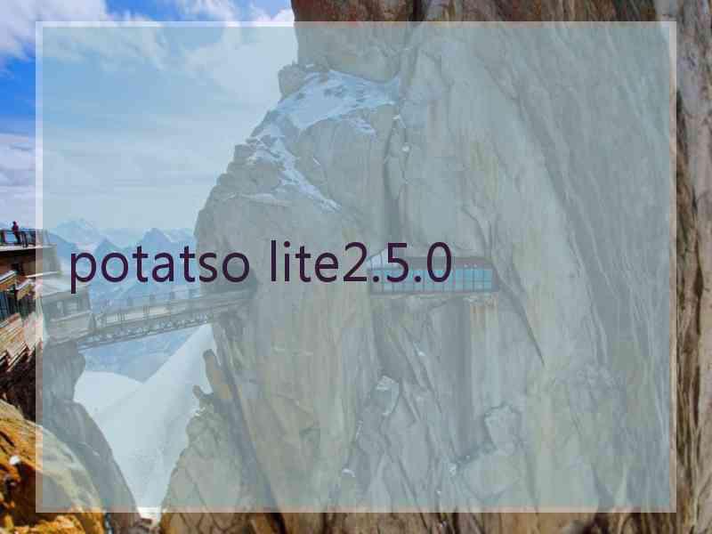 potatso lite2.5.0