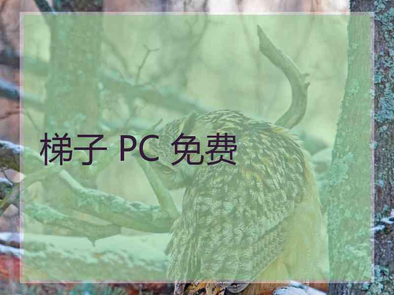 梯子 PC 免费